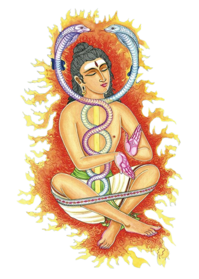 Kundalini Sadhana - Sri Vidya Sadhana